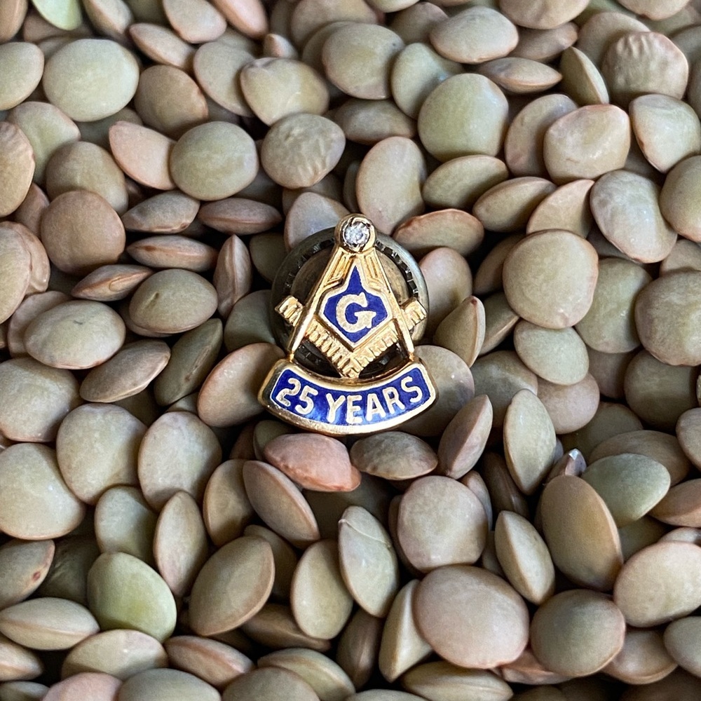Masonic Temple 25 Years Service Sterling Silver with Diamonds Accent Lapel Pin